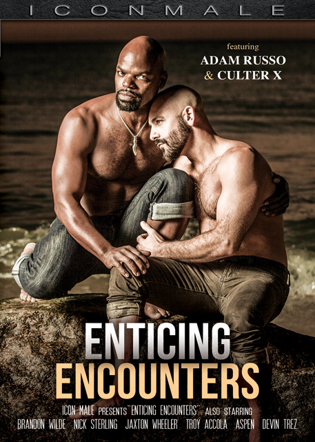 Enticing Encounters